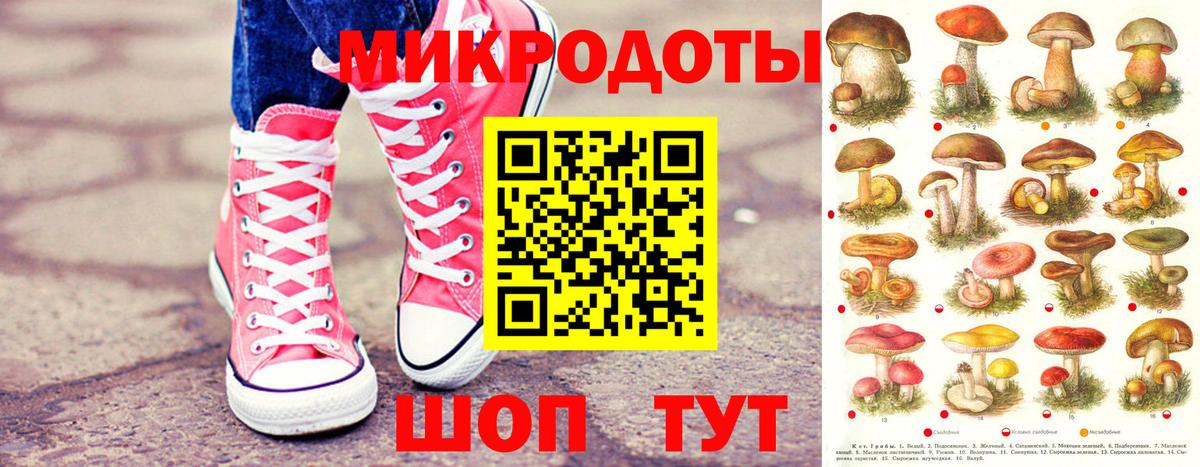 Псилоцибиновые грибы ЛСД Городец