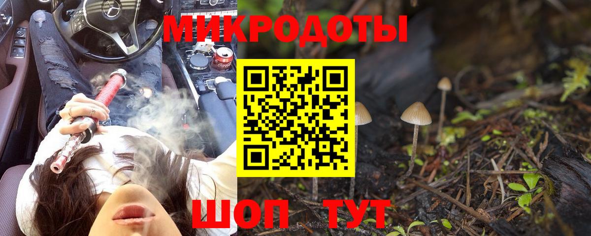 Галлюциногенные грибы мухоморы  Вход с VPN  Городец 